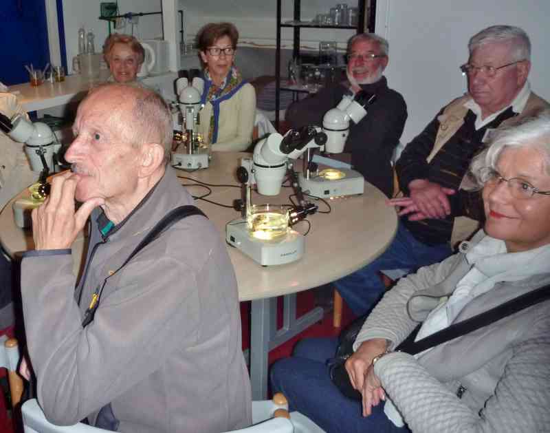 03_P1160696 (Morin).jpg - ... et attentifs !